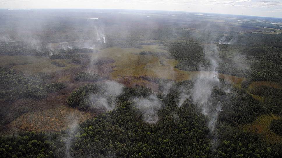 Почему на Ямал направили дополнительные силы для борьбы с природными пожарами