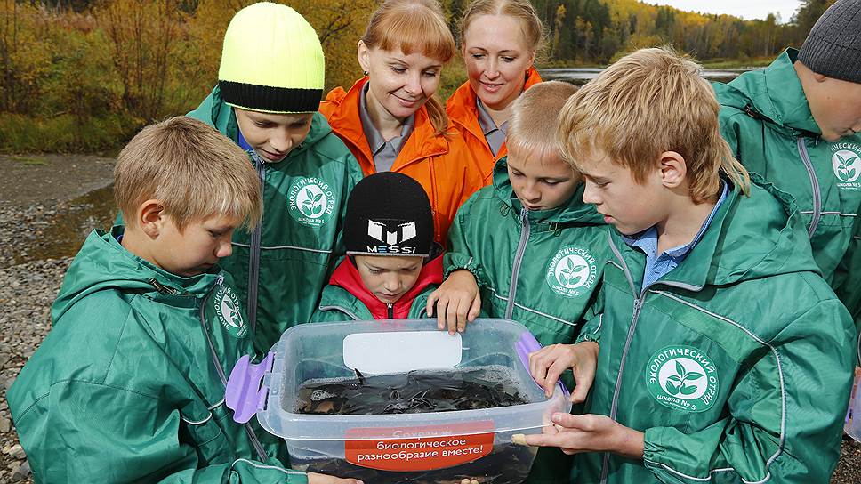 Экологические уроки в школе. Экологический отряд. Экологические объединения. Детский экологический отряд. Эколог это для детей.
