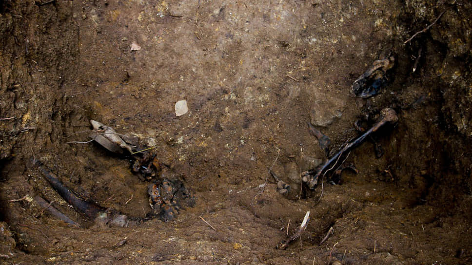 По мнению археологов, в каждой яме может находиться от 30 до 50 останков 