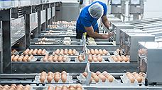 В Удмуртии зафиксировали самый большой рост цен на куриные яйца в стране