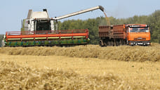 В Удмуртии на 2% перевыполнили план по засыпке семян яровых зерновых