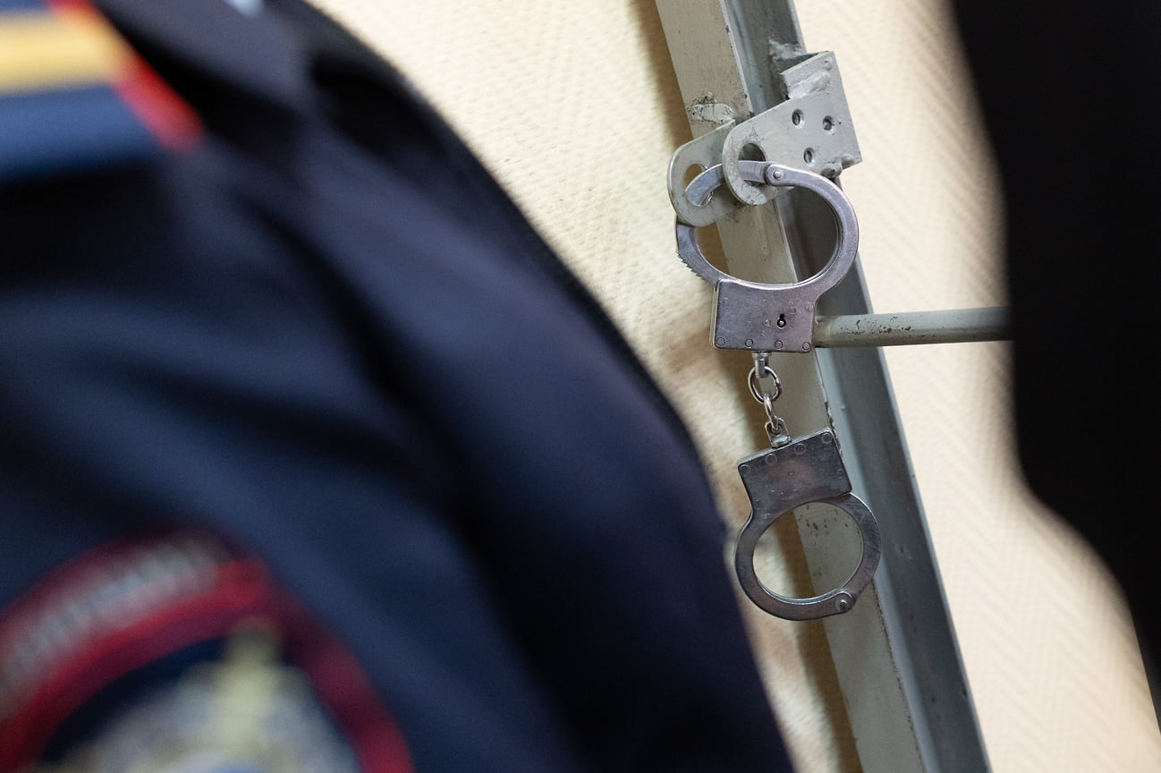 Подозрения и невиновность кота