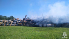 200 рулонов сена сгорело в селе Удмуртии из-за неосторожного обращения с огнем