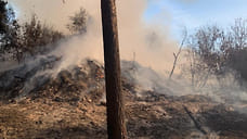 Лесничество и полигон ТБО горят в Можгинском районе Удмуртии