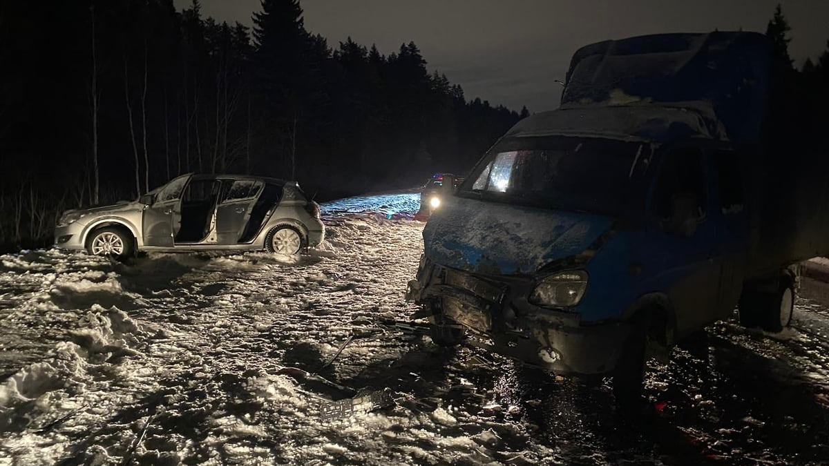 В Удмуртии в ДТП с «Газелью» погиб пассажир выехавшего на «встречку»  автомобиля – Коммерсантъ Ижевск