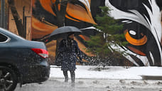 Ветреная погода с дождями и мокрым снегом ожидается на выходных в Удмуртии