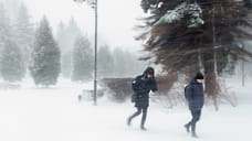 Сильный ветер и снегопад ожидаются 28 марта в Удмуртии