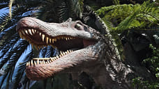 Житель Самарской области подозревается в краже с выставки динозавров в Ижевске