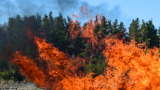 В Удмуртии произошел первый в этом сезоне ландшафтный пожар