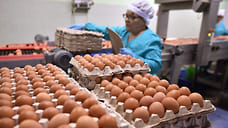 Производство яиц в Удмуртии увеличилось почти на 10% в 1 квартале