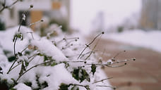 В ближайшую неделю в Удмуртии ожидаются снег и похолодание