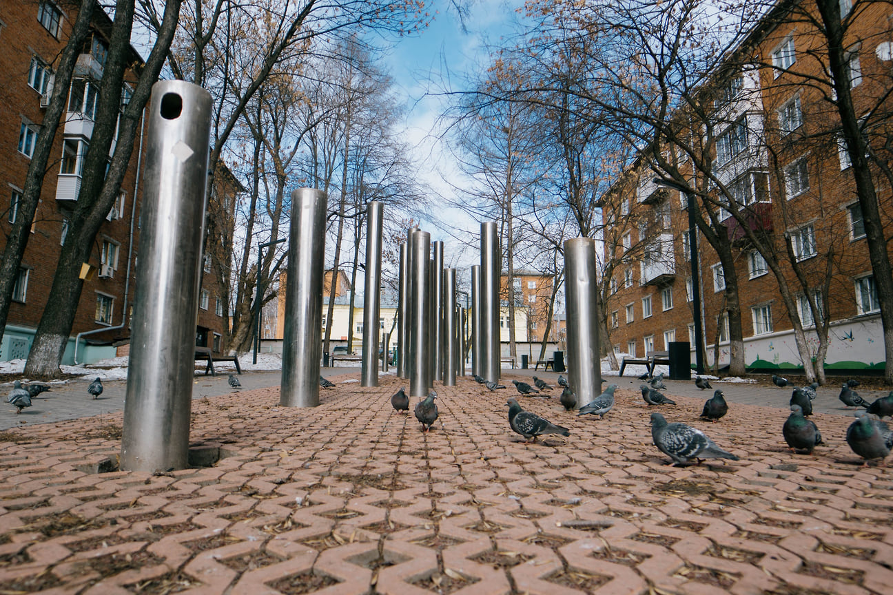 В Птичий сквер в столице Удмуртии с наступление весны прилетели голуби 