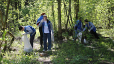 Участники весеннего субботника очистили Буммашевский лес Ижевска от мусора