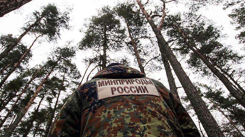 Глава Минприроды Дмитрий Кобылкин создал межведомственный совет по контролю за отходами