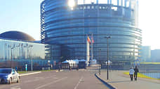 Акцию против поправок изучат в Страсбурге