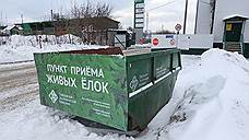 В Казани откроют пункты приема живых елок после новогодних праздников