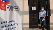За голосованием по Конституции в Татарстане наблюдали 4 тысячи человек