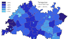 В Апастовском районе Татарстана поправки в Конституцию поддержали 96,5%