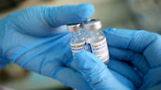 Разработчики «Спутника V» заявили о халяльности вакцины