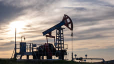«Татнефть» попросила ускорить разработку параметров НДД для сверхвязкой нефти