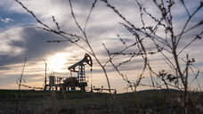 «Татнефть» намерена увеличить нефтедобычу к 2030 году почти на 50%