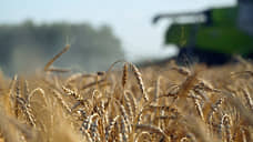 В Татарстане построят завод по производству зерновых рукавов за 1,5 млрд рублей