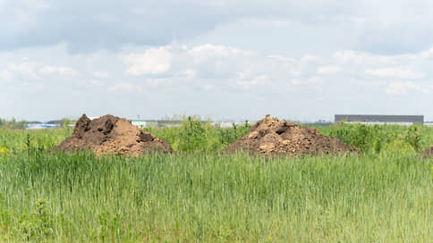 В Татарстане выявили 76 тысяч га неиспользуемых земель сельхозназначения