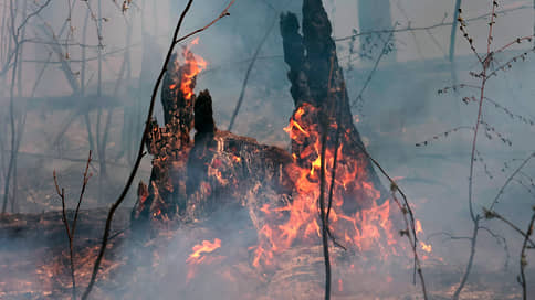 Пожароопасный сезон в Татарстане может начаться через месяц