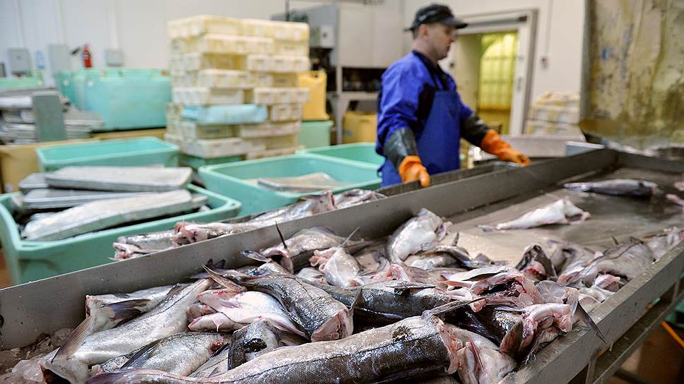 Сокращение сроков доставки дальневосточной рыбы с десяти до семи дней должно увеличить  ее присутствие на прилавках страны