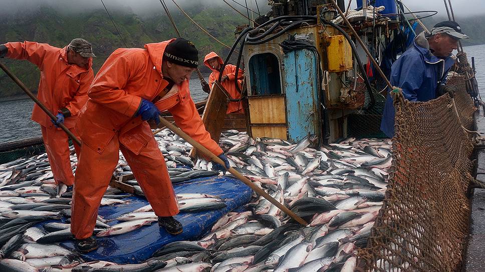  «Нацрыбресурс» через нового агента выловит повышенные арендные ставки  аренды причалов с рыбаков на Дальнем Востоке