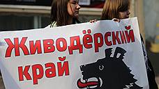 Владимир Путин согласен с инициативой по ужесточению наказания за жестокое обращение с животными