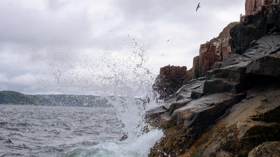 Почему нельзя пить морскую воду