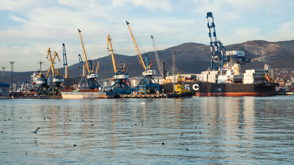 Только в прошедшем сезоне через порт Новороссийск прошла треть всего объема поставок, при этом более 10% — через терминал КСК
