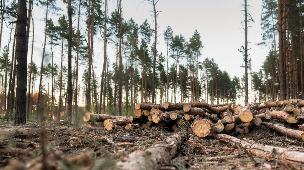 В 2018 году прокуратура выявила незаконные рубки на лесных участках, выделенных под реализацию проекта ПДК «Апшеронск». Ущерб оценили в 360 млн руб.
