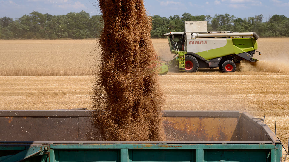 Эксперты отмечают, что отгрузки зерна увеличиваются вопреки логистическим проблемам и подорожавшему фрахту