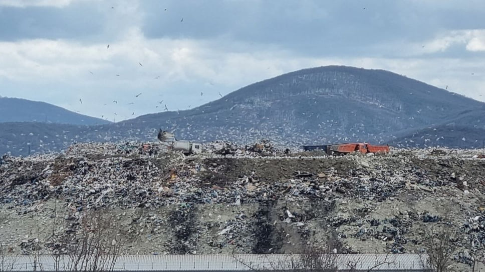 Свалка возле поселка Борисовка — единственный узаконенный объект размещения отходов для Новороссийска и Геленджика