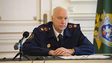 Александру Бастрыкину доложат о расследовании дела по факту убийства в Сочи 7-летней девочки