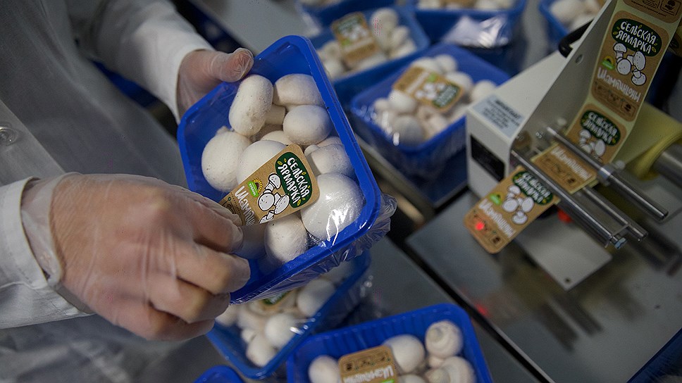 Упаковка свежих грибов перед отгрузкой. Россия ежегодно потребляет около 100 тыс. т грибов, из них 14% - отечественные шампиньоны и вешенки, большая часть импорта идет из Китая и нелегально — из Польши и Литвы.