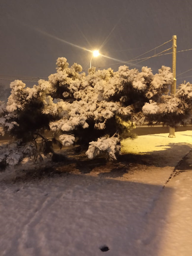 Такого обильного снегопада Краснодар не видел давно. За ночь в городе выпало 20 см снега.