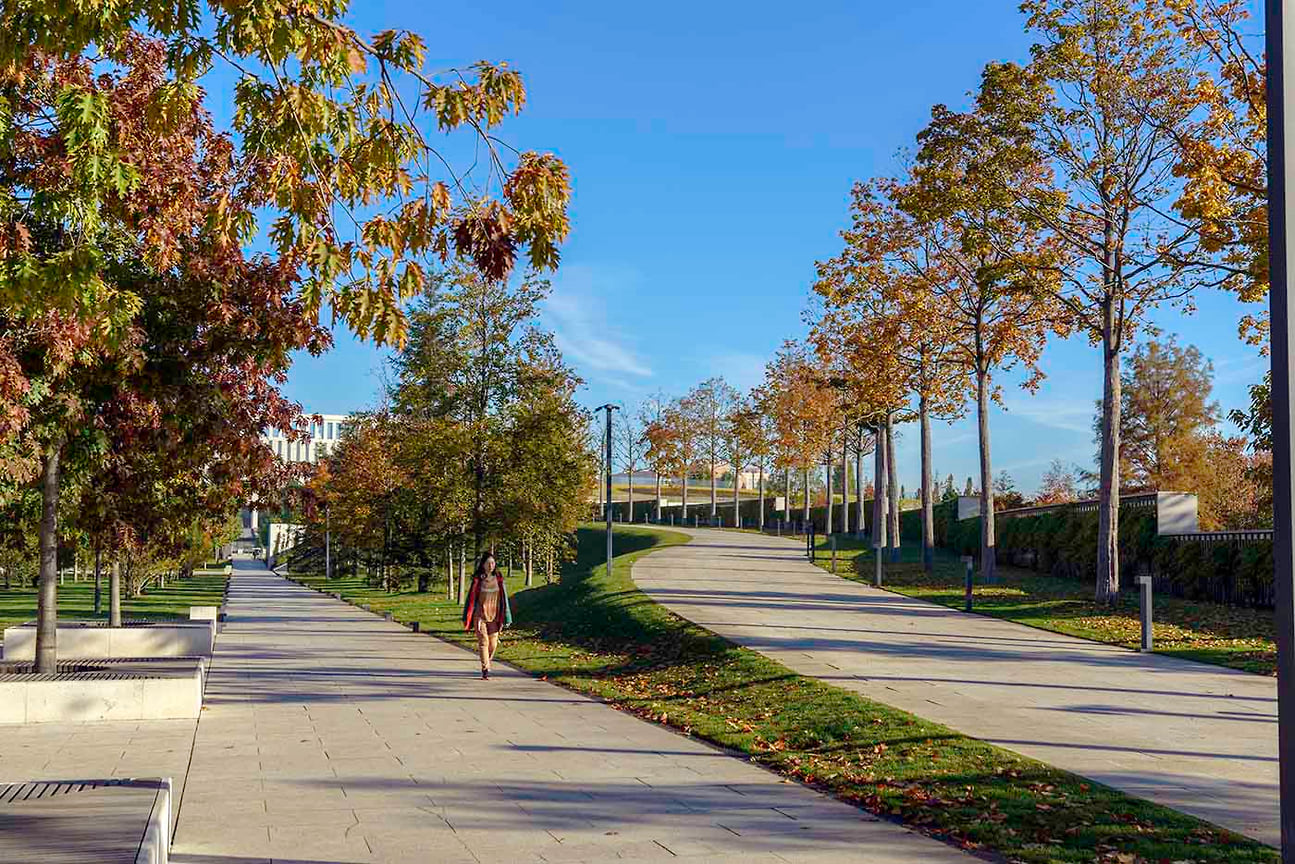 Осенняя аллея. Октябрь 2021.