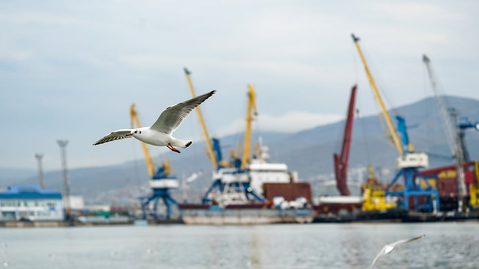 Среди стратегически значимых проектов — строительство универсального перегрузочного комплекса в Новороссийском морском торговом порту