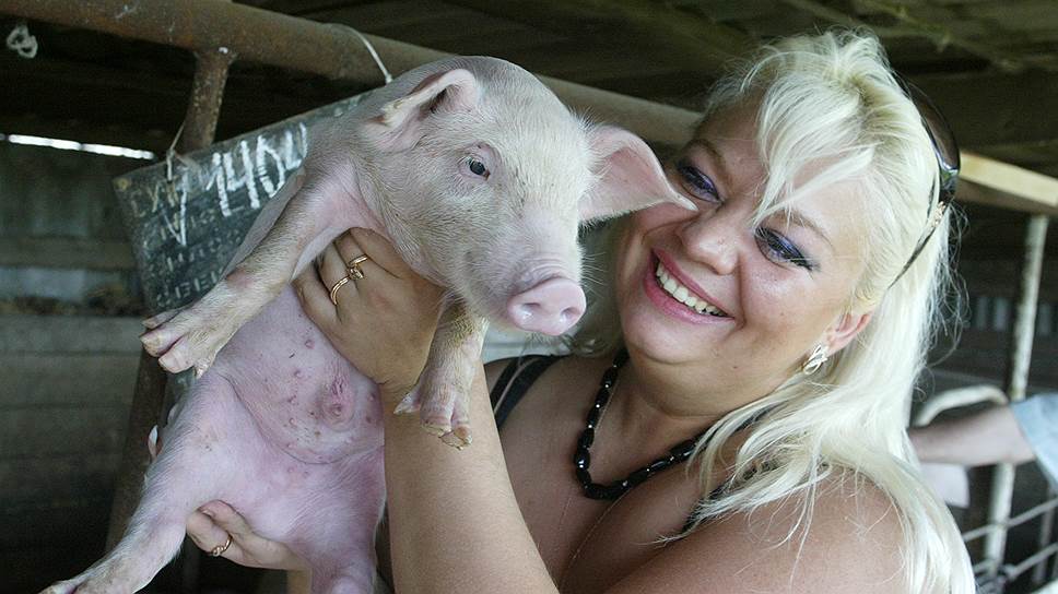 Поголовье свиней на «Ильиногорском» обещают увеличить в шесть раз