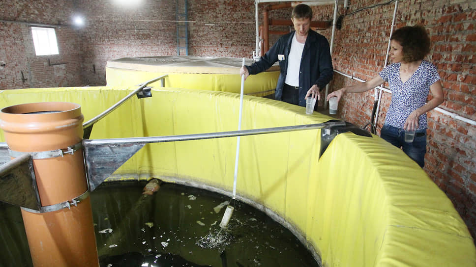 Кожевенные заводы пытаются доказать, что очищают сточные воды, но надзорные органы этому не верят