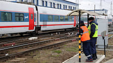 Скоростные поезда «Ласточка» и «Стриж» перевезли на 10,2% больше пассажиров