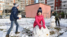 В Нижнем Новгороде начали продавать снег