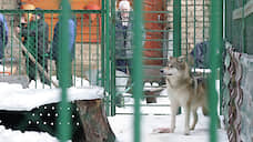 Зоопаркам «Лимпопо» и «Мишутка» выделили 1,5 млн рублей из казны