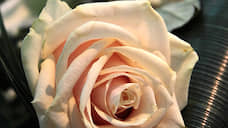 Мордовский «Мир цветов» завершил реконструкцию розовых теплиц