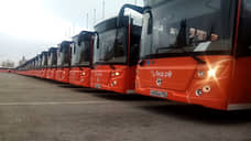 Федеральный бюджет заплатит за новые нижегородские автобусы 367 млн рублей