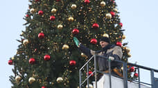Главную новогоднюю елку установили в Нижнем Новгороде