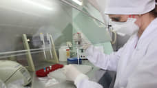 COVID-лабораторию открыли в Борской центральной больнице